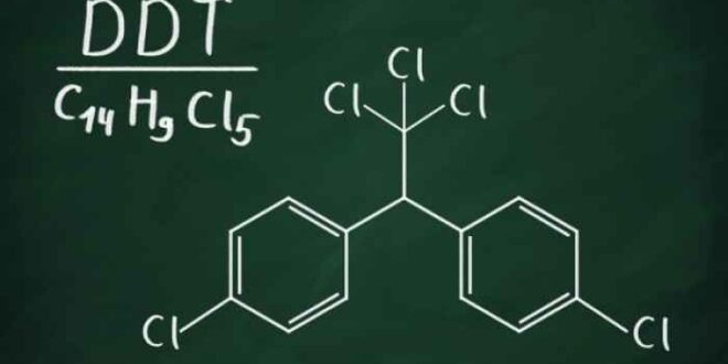 Η έκθεση στο DDT συνδέεται με τον αυξημένο κίνδυνο καρκίνου του μαστού