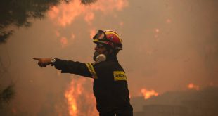 Υπό έλεγχο πυρκαγιά σε δασική έκταση στη Θεσσαλονίκη