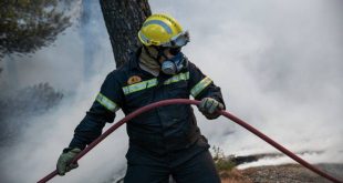 Υπό μερικό έλεγχο η πυρκαγιά στον Πρόδρομο Θήβας