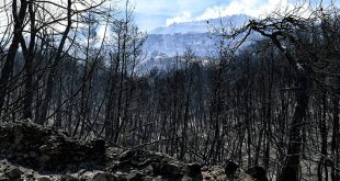 Σε ύφεση η πυρκαγιά στις Κεχριές Κορινθίας