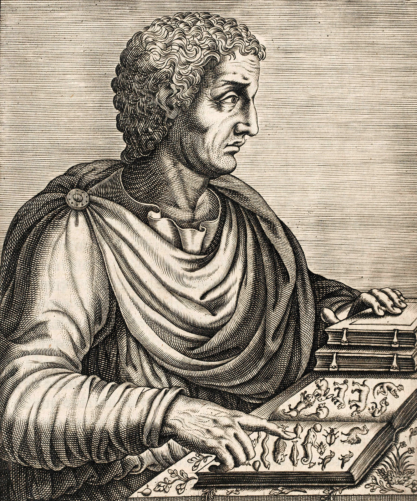 pliny the elder