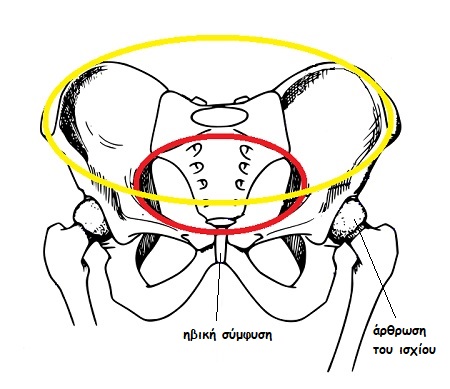 arthrwsh isxioy