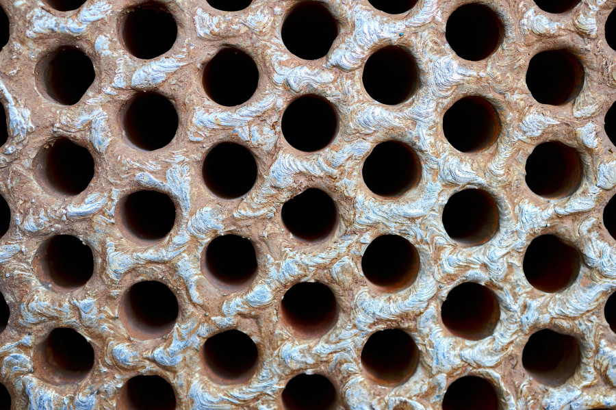 Trypophobia 