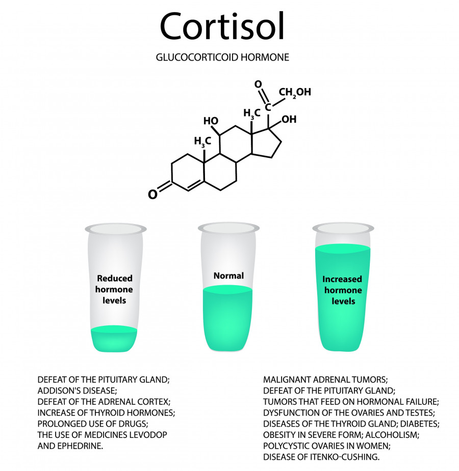 Cortisol-levels