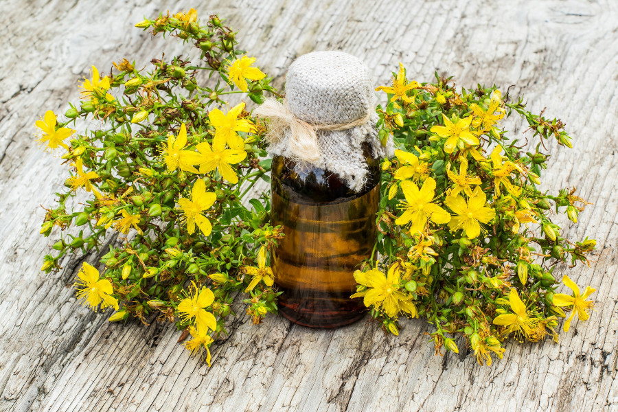 St. John's-wort-spathoxorto-valsamoxorto-yperiko