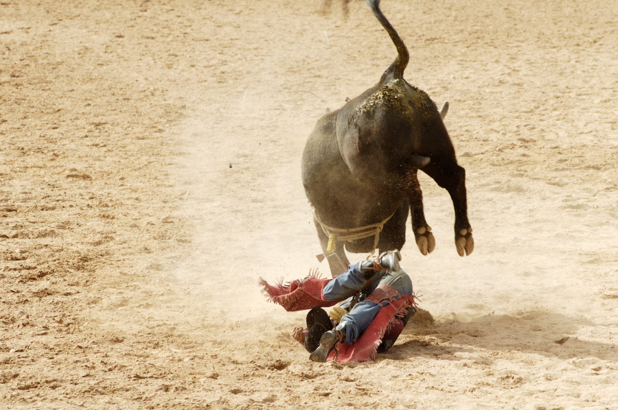 Bull-Riding