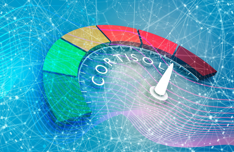 Cortisol-Level-kortizoli