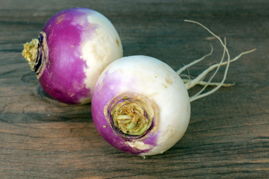 Turnip-goggyli