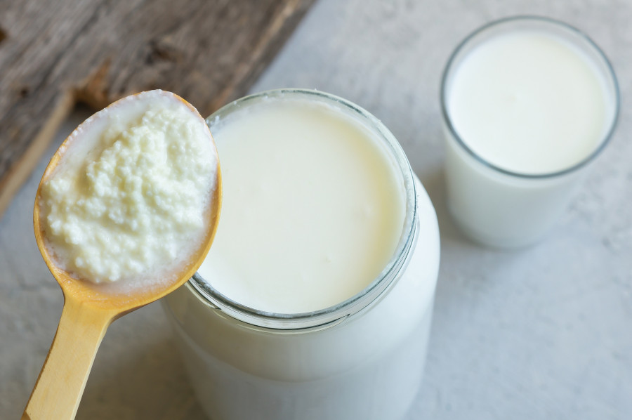 Kefir-Grains-Drink-Dairy