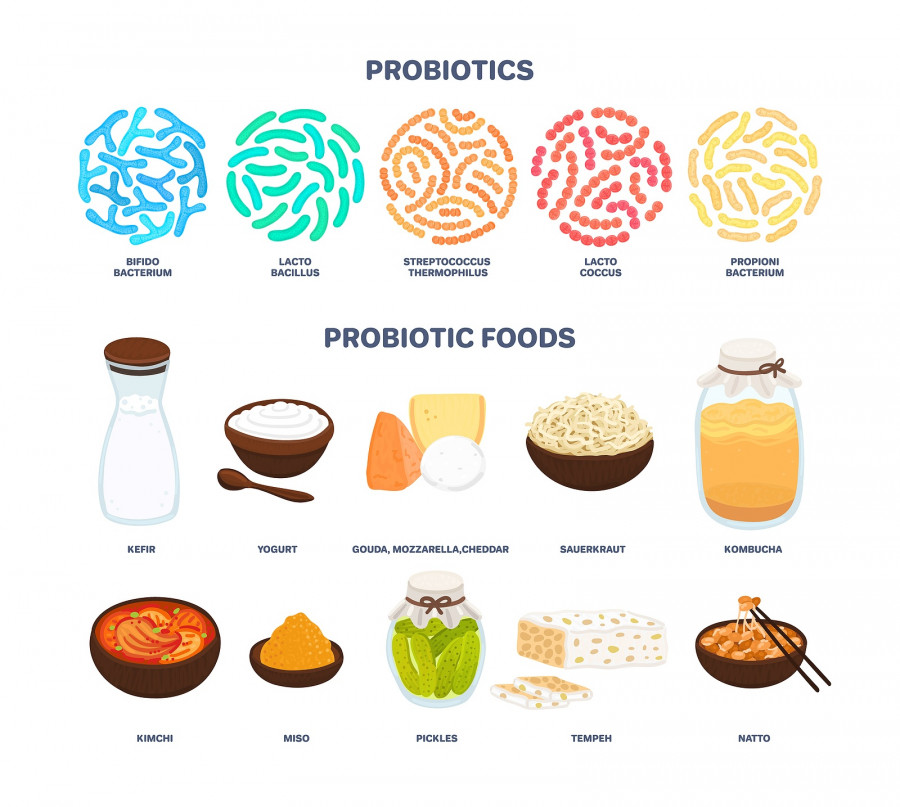 Probiotics