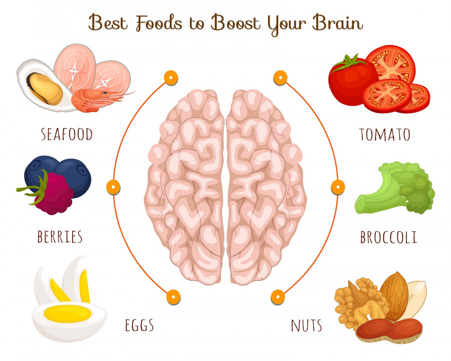 Food-Brain